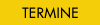 TERMIN